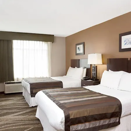 Wingate By Wyndham Raleigh Durham / Airport Hotel